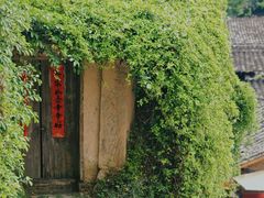 -杨家堂村