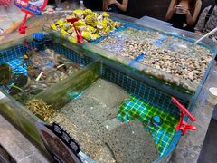 -双合园·海鲜水饺青岛菜(万佳广场店)