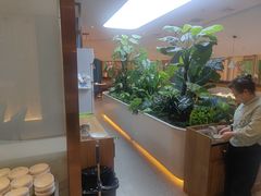 -悦海·家宴·冰花皮皮虾大锅贴(宝龙店)