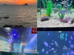 -烟台海昌鲸鲨海洋公园