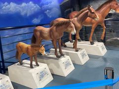 -吉林省自然博物馆