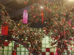 -番食园鲜食火锅(高新店)