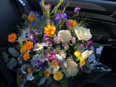 -植物学家的女儿(北马道巷店)