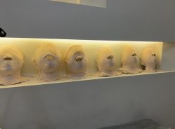 -VE小颜皮肤管理&科学美肤中心