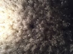 iphone_upload_pic-云门锦翠(商鼎国际店)