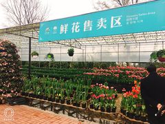 -保利石象湖景区