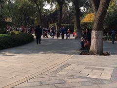 -莲湖公园