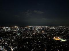 -六本木新城展望台(东京城市景观)