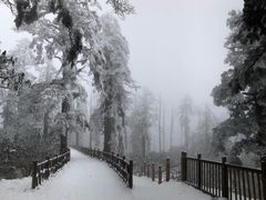 -瓦屋山景区