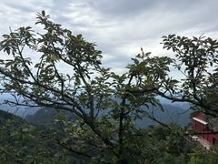 -武当山风景区-太子坡