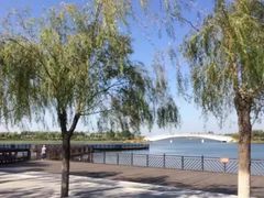 -武清南湖绿博园