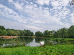 -东郊湿地公园