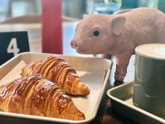 -WHEN PIGS FLY当猪飞