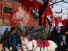 -青州市云门山风景区