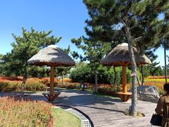 -羊亭河湿地公园