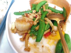 碧绿菌皇炒带子-喜粤8号(四海唐人街店)