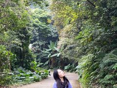 -广州市帽峰山景区