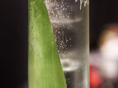 -飛鳥製茶