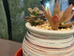 -霸王茶姬(泛海广场店)