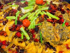 -老板恋上鱼(恒隆广场店)