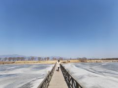 -野鸭湖国家湿地公园