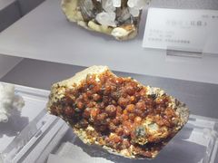 -湖南省地质博物馆