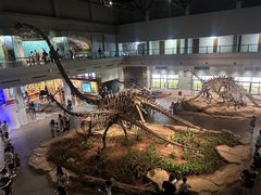 -自贡恐龙博物馆