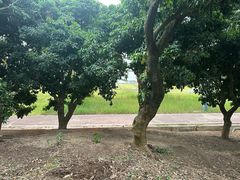 -深圳大学(丽湖校区)