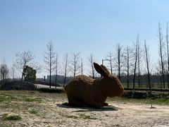 景点-嘉北郊野公园
