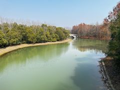 -上海海湾国家森林公园