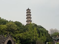 -江心屿景区