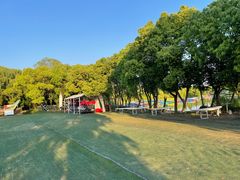 -动邦皮划艇·桨板·独木舟·团建户外运动俱乐部