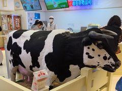 -红星前进面包牛奶公司(君太店)