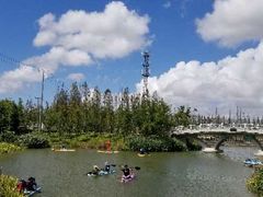 -上海长兴岛郊野公园