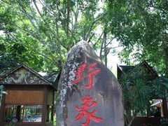 -野象谷景区