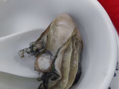 -花苑美食横琴生蚝火锅(拱北粤华路店)