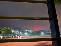 -青岛大学(金家岭校区)