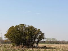 -嘉北郊野公园
