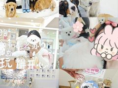 -汪说·狗咖·拼豆·宠物周边DIY(旺城大厦店)