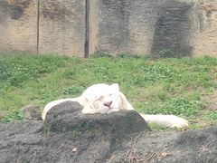 -杭州野生动物世界