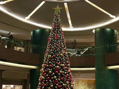 -成都凯宾斯基饭店