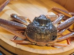 -綱元·海鲜豆捞(明州里店)