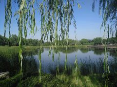 -永定河休闲森林公园