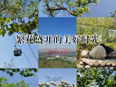 -紫金山山顶公园