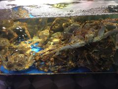 -蟹之国·精品蟹料理(极地店)