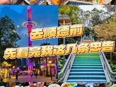 -丰尔粥食·粥底火锅·桑拿鸡(大良总店)