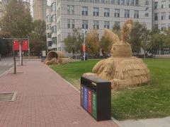 -东北农业大学