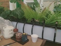 -直隶安家罩饼(复兴路店)