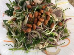 -东鸽皇(奥园·中环广场店)