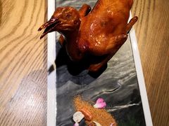 -大鸽饭(岗顶店)